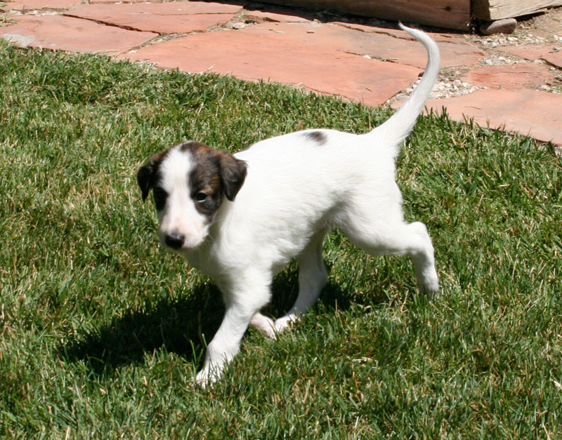 Surf Spots - Boy 1 Trot
